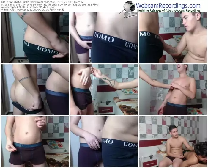 chaturbate-allbrands-webcam-show-11_29_2016-08_15_07
