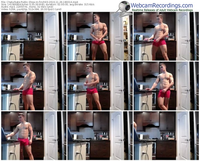 chaturbate-finch93-webcam-show-11_29_2016-18_00_14