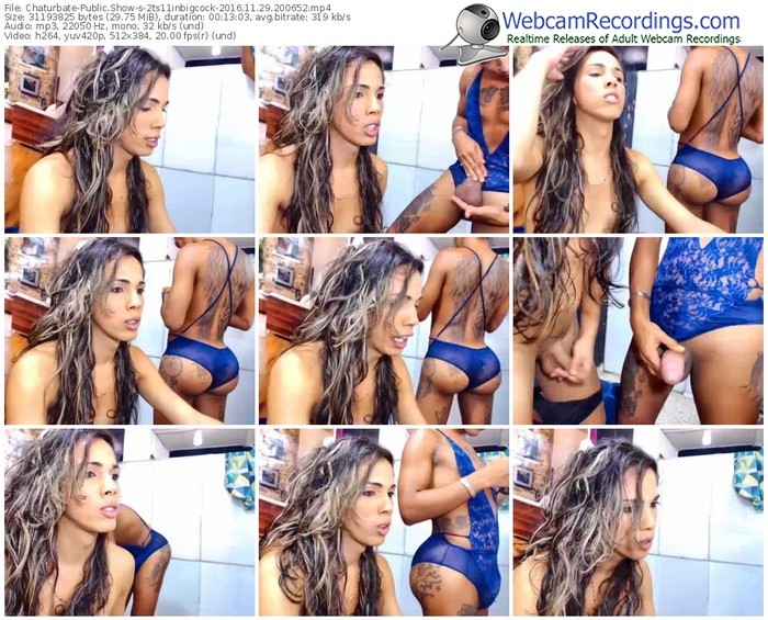 chaturbate-2ts11inbigcock-webcam-show-11_29_2016-20_06_52