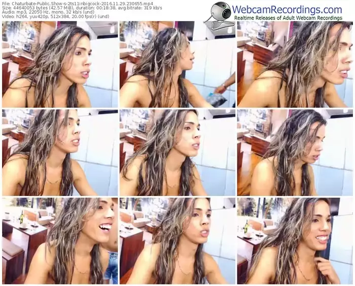 chaturbate-2ts11inbigcock-webcam-show-11_29_2016-23_06_55