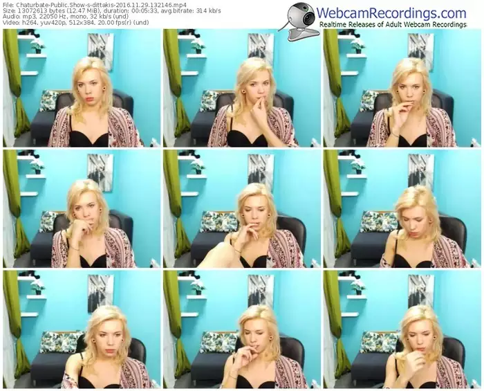 chaturbate-dittakis-webcam-show-11_29_2016-13_21_46