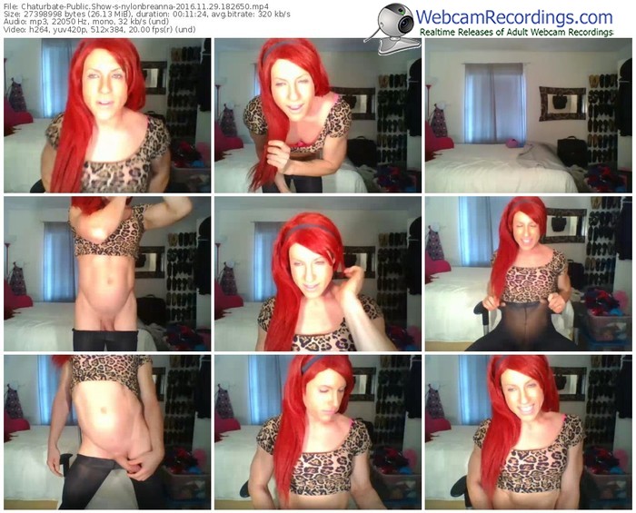 chaturbate-nylonbreanna-webcam-show-11_29_2016-18_26_50