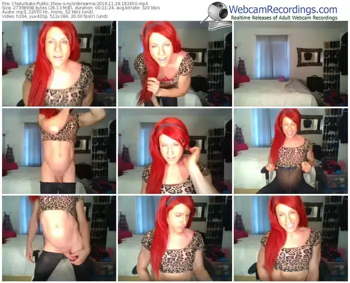 chaturbate-nylonbreanna-webcam-show-11_29_2016-18_26_50