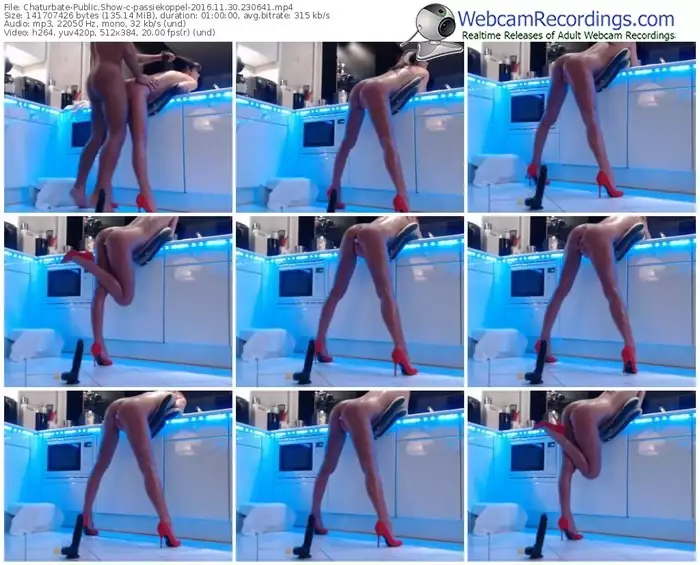chaturbate-passiekoppel-webcam-show-11_30_2016-23_06_41