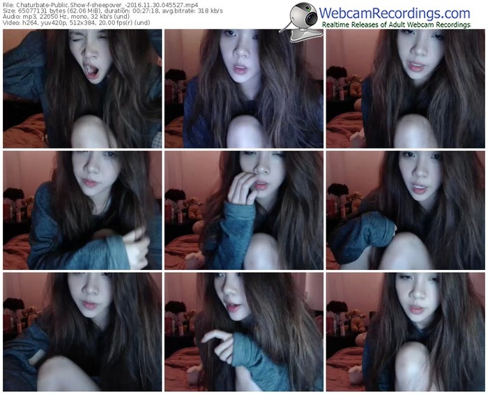 chaturbate-sheepover_-webcam-show-11_30_2016-04_55_27