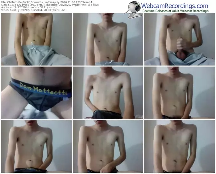 chaturbate-cumforrayray-webcam-show-11_30_2016-12_35_34