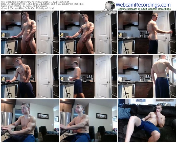 chaturbate-finch93-webcam-show-11_30_2016-14_15_35