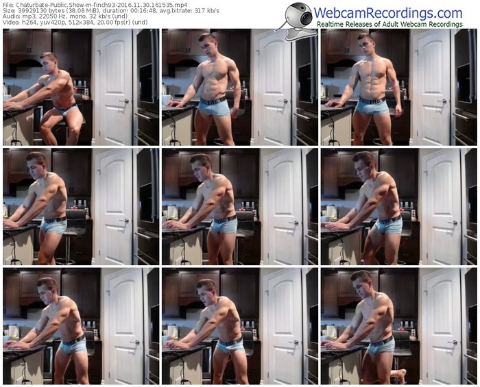 chaturbate-finch93-webcam-show-11_30_2016-16_15_35