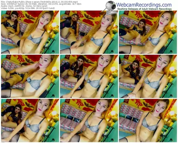 chaturbate-asian_freshdolls-webcam-show-11_30_2016-03_16_59