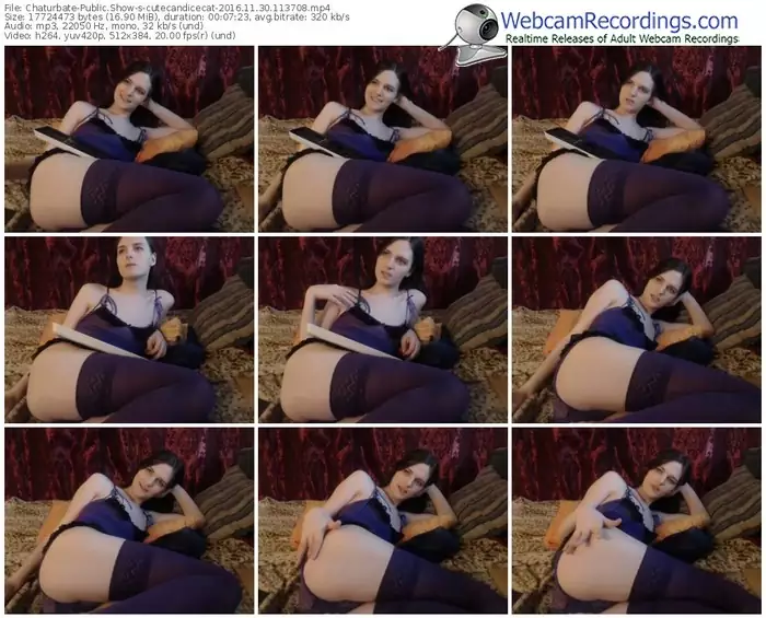 chaturbate-cutecandicecat-webcam-show-11_30_2016-11_37_08
