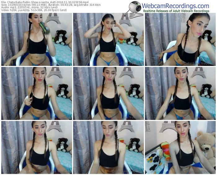 chaturbate-sarita_slutt-webcam-show-11_30_2016-02_31_58
