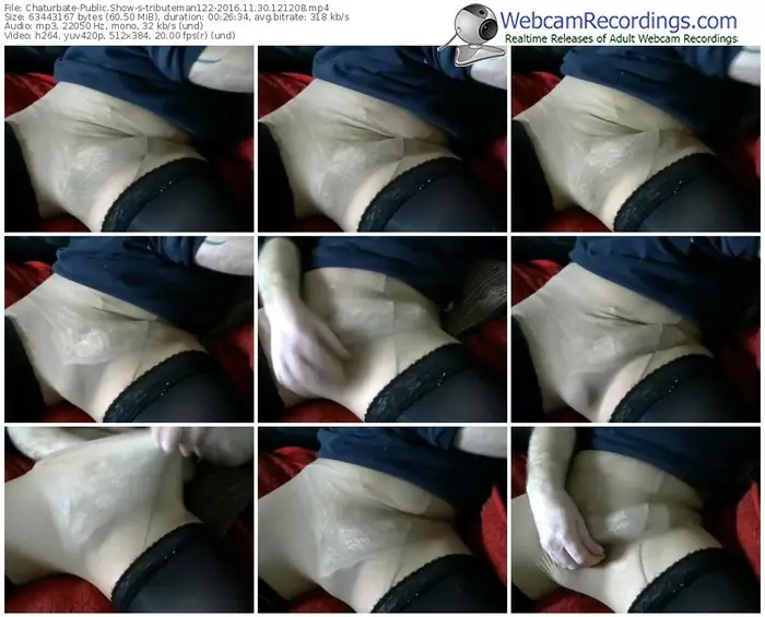 chaturbate-tributeman122-webcam-show-11_30_2016-12_12_08