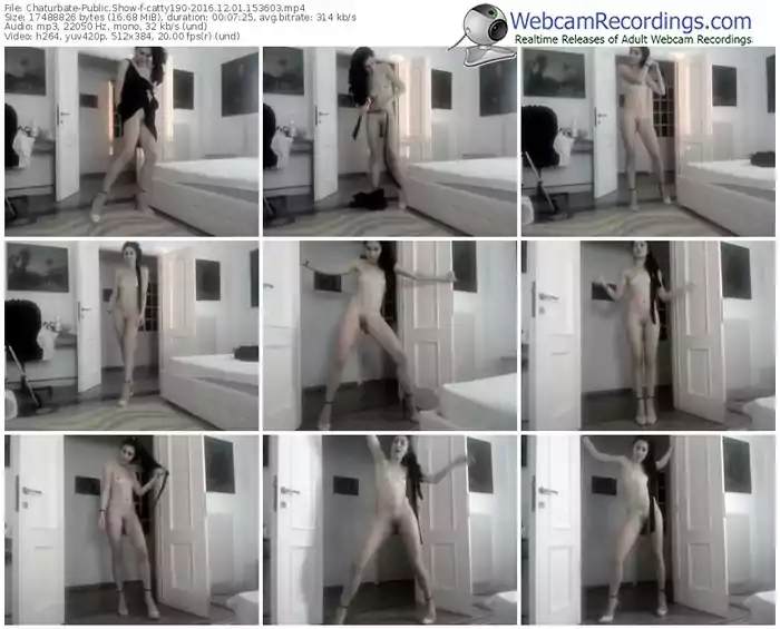 chaturbate-catty190-webcam-show-12_01_2016-15_36_03
