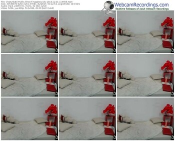 chaturbate-nagatoxyuky-webcam-show-12_01_2016-11_45_58