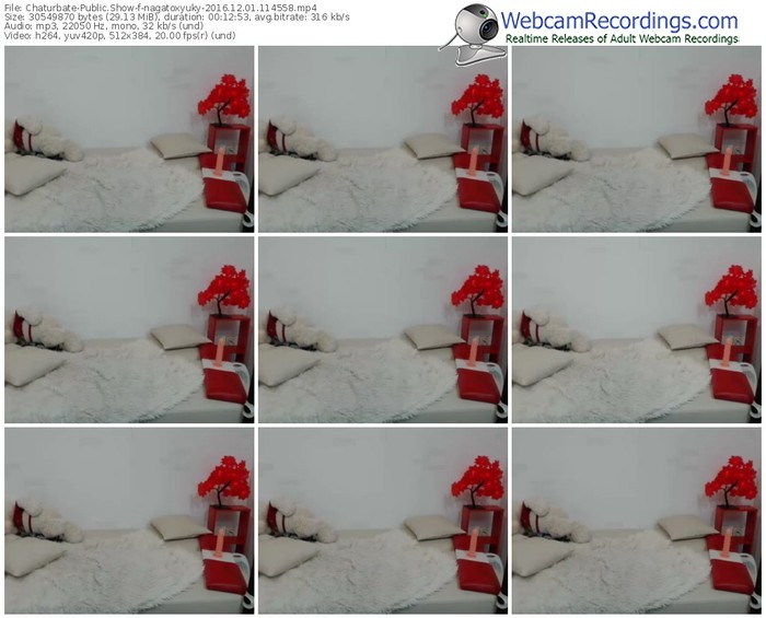 chaturbate-nagatoxyuky-webcam-show-12_01_2016-11_45_58