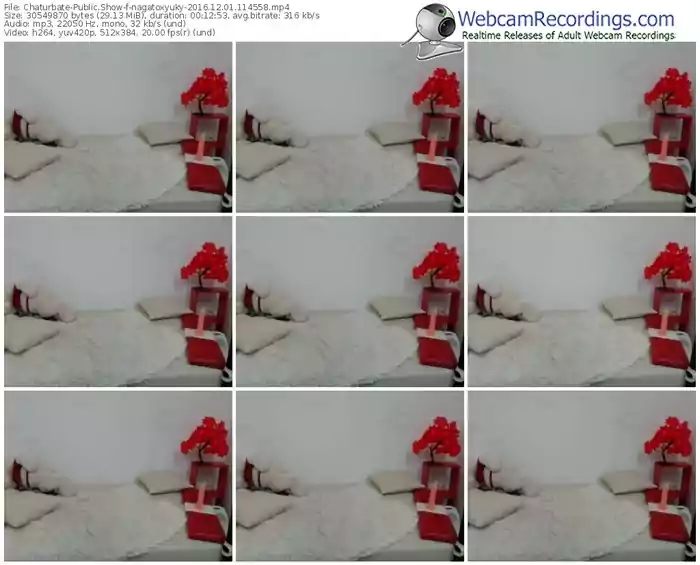 chaturbate-nagatoxyuky-webcam-show-12_01_2016-11_45_58