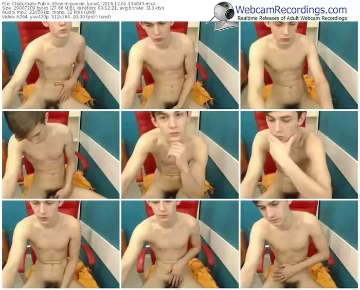 chaturbate-pookie_lucas1-webcam-show-12_01_2016-13_40_43