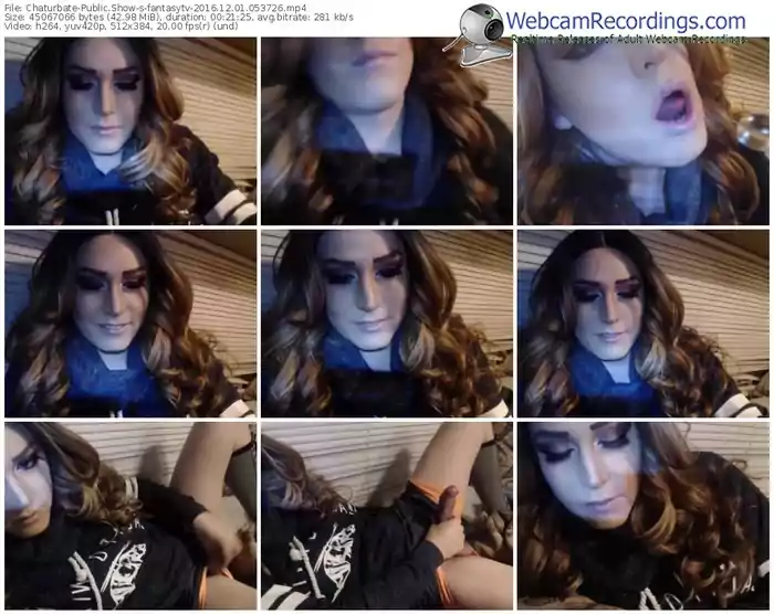 chaturbate-fantasytv-webcam-show-12_01_2016-05_37_26