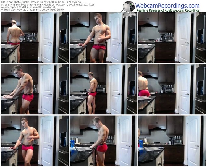 chaturbate-finch93-webcam-show-12_02_2016-14_21_05