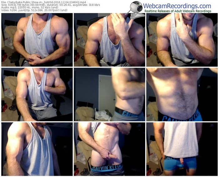 chaturbate-_hotr0d-webcam-show-12_04_2016-03_46_42