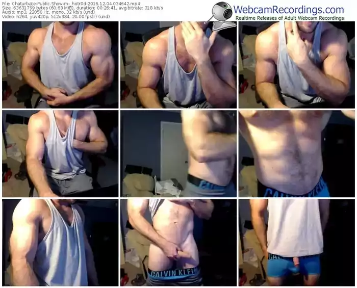 chaturbate-_hotr0d-webcam-show-12_04_2016-03_46_42