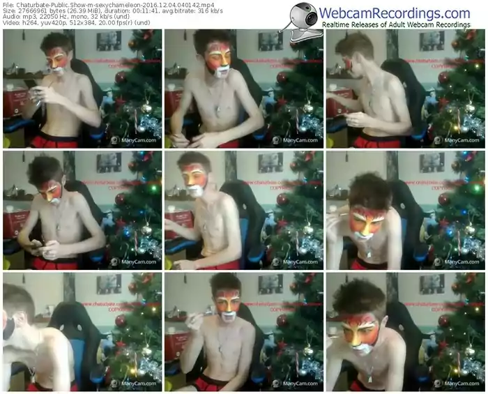 chaturbate-sexychameleon-webcam-show-12_04_2016-04_01_42