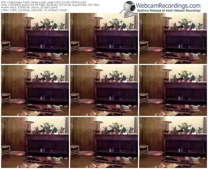 chaturbate-sub_sage-webcam-show-12_05_2016-10_29_10