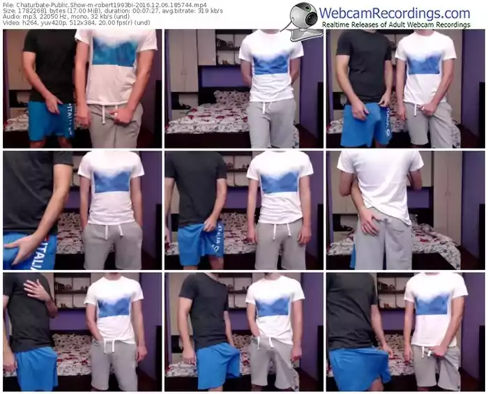 chaturbate-robert1993bi-webcam-show-12_06_2016-18_57_44