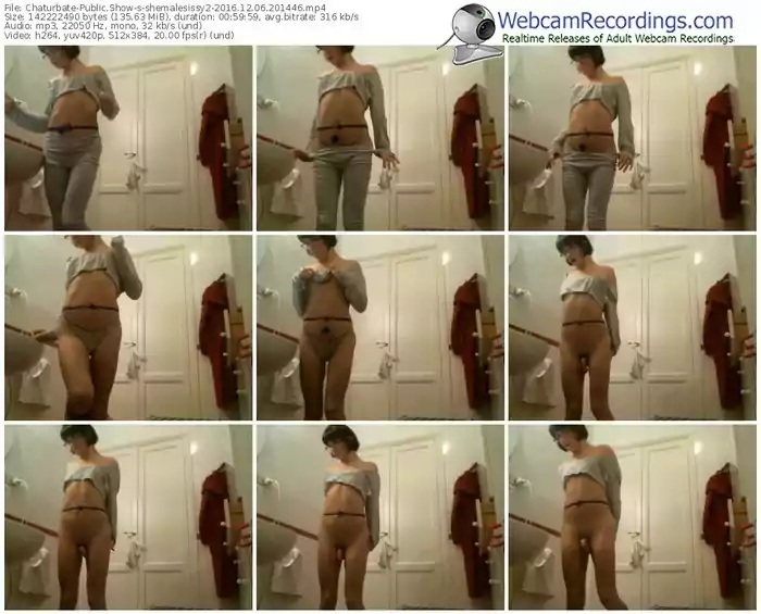 chaturbate-shemalesissy2-webcam-show-12_06_2016-20_14_46