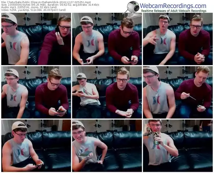 chaturbate-thehamildick-webcam-show-12_07_2016-02_52_51