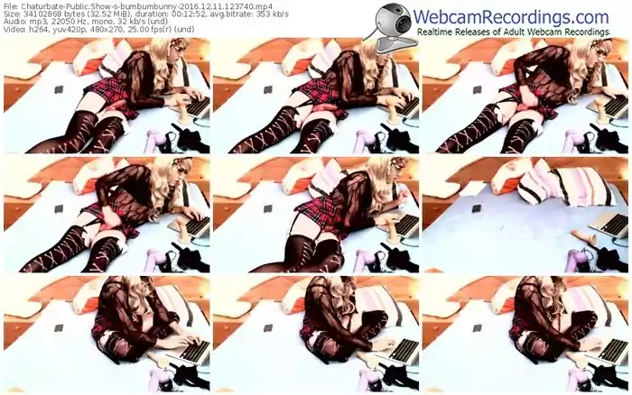 chaturbate-bumbumbunny-webcam-show-12_11_2016-12_37_40