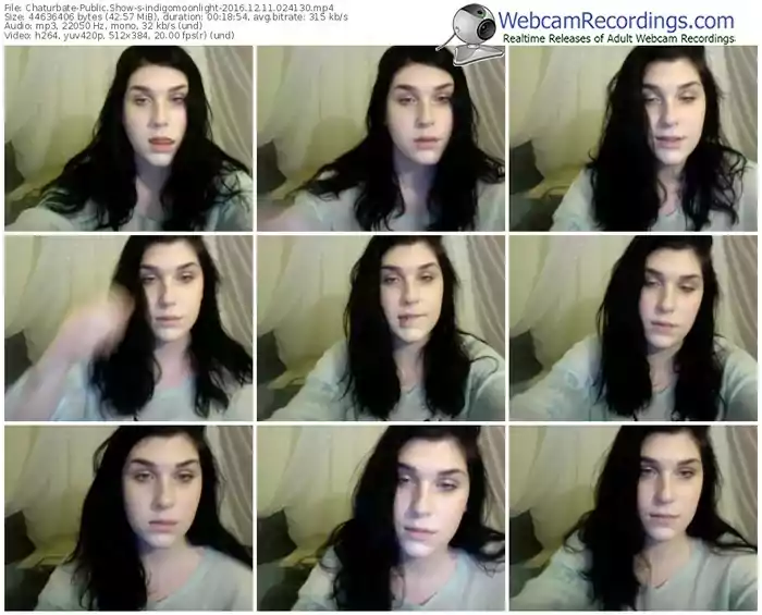 chaturbate-indigomoonlight-webcam-show-12_11_2016-02_41_30