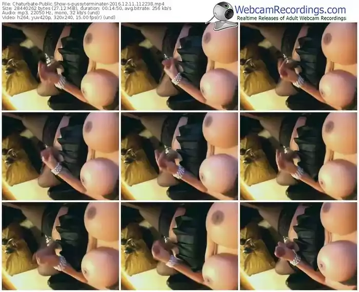 chaturbate-pussyterminater-webcam-show-12_11_2016-11_22_38