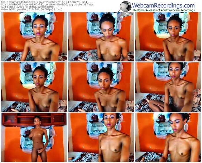 chaturbate-garotta9inches-webcam-show-12_12_2016-08_22_01