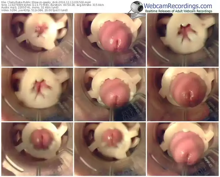 chaturbate-geeky_dick-webcam-show-12_13_2016-03_15_00