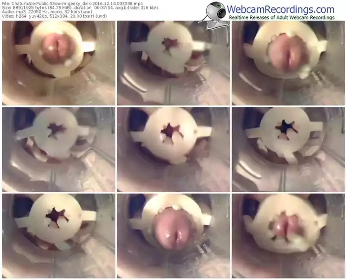chaturbate-geeky_dick-webcam-show-12_16_2016-03_30_38