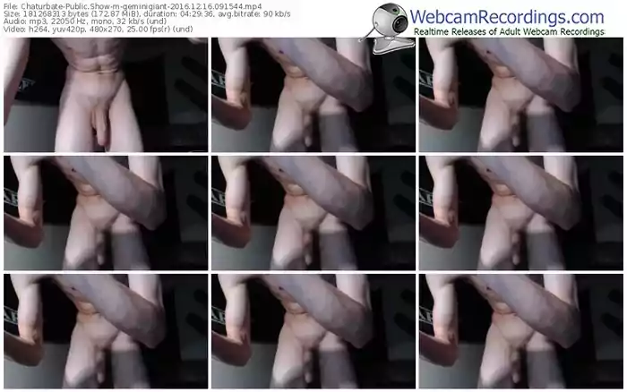 chaturbate-geminigiant-webcam-show-12_16_2016-09_15_44