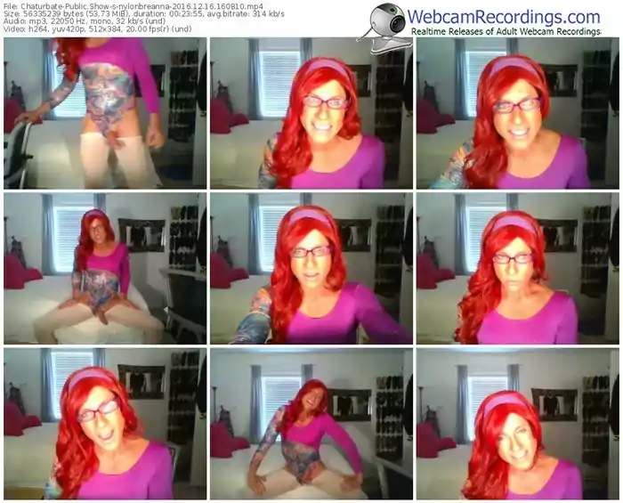 chaturbate-nylonbreanna-webcam-show-12_16_2016-16_08_10