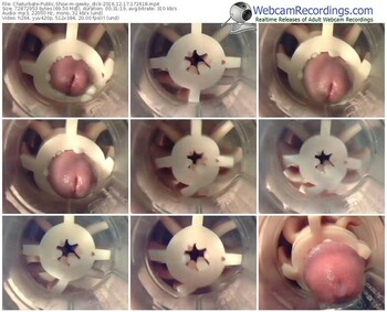 chaturbate-geeky_dick-webcam-show-12_17_2016-17_26_18