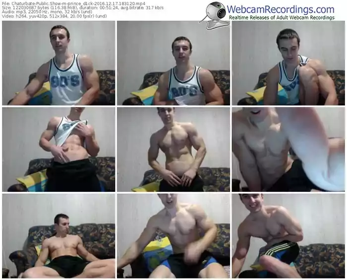 chaturbate-prince_d1ck-webcam-show-12_17_2016-18_31_20