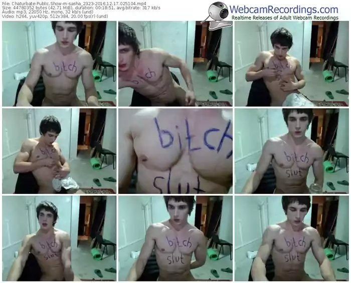 chaturbate-sasha_2323-webcam-show-12_17_2016-02_51_04