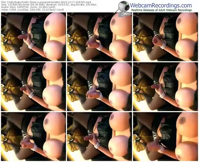 chaturbate-pussyterminater-webcam-show-12_17_2016-10_43_29