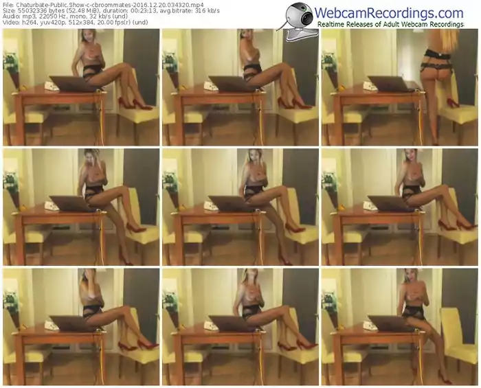 chaturbate-cbroommates-webcam-show-12_20_2016-03_43_20