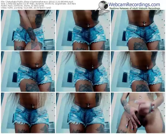 chaturbate-barbiesaharaxxx-webcam-show-12_20_2016-08_34_44