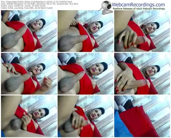 chaturbate-tsnatashaxxx-webcam-show-12_20_2016-19_54_56