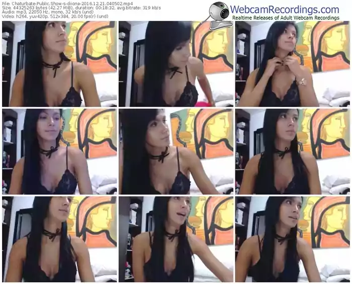 chaturbate-diione-webcam-show-12_21_2016-04_05_02