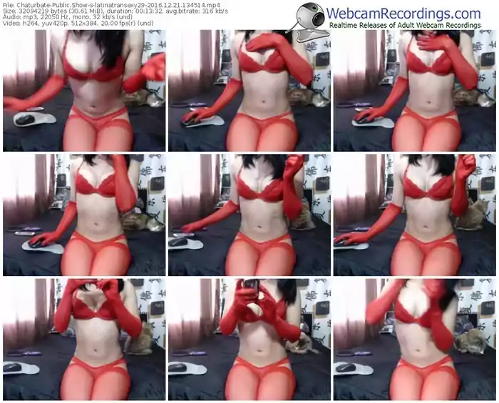 chaturbate-latinatransexy29-webcam-show-12_21_2016-13_45_14