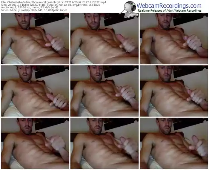chaturbate-billgreenbigdick121212-webcam-show-12_22_2016-21_38_27