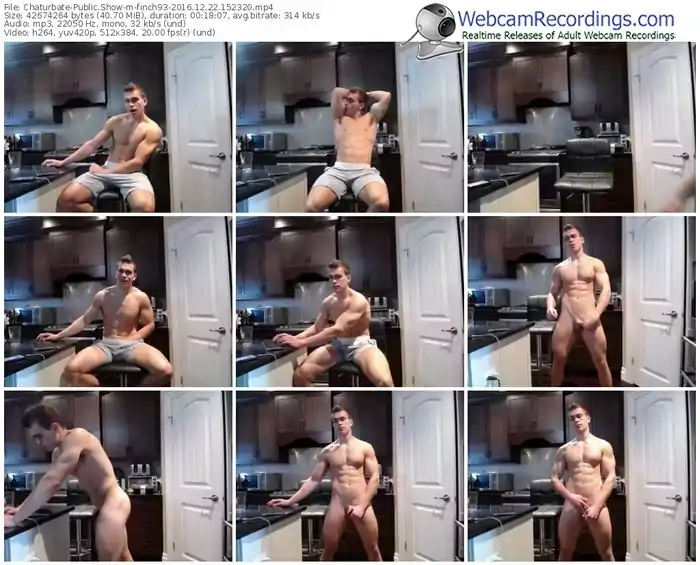 chaturbate-finch93-webcam-show-12_22_2016-15_23_20