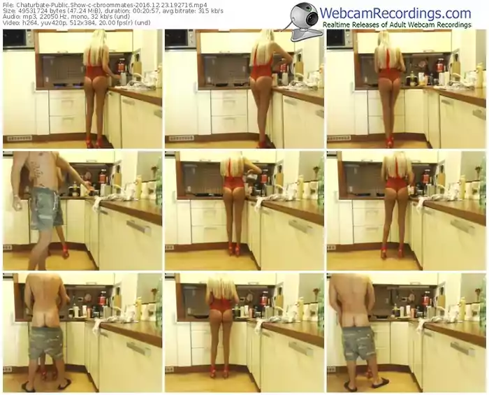 chaturbate-cbroommates-webcam-show-12_23_2016-19_27_16